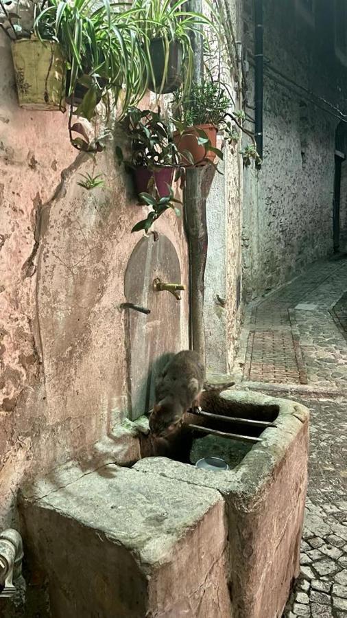 Le Petit Bijou Di Dolceacqua, Per Un Momento Romantico Exteriör bild